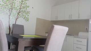 Апартаменты Apartmani Sekulic Будва Апартаменты с 1 спальней-6