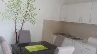 Апартаменты Apartmani Sekulic Будва Апартаменты с 1 спальней-7